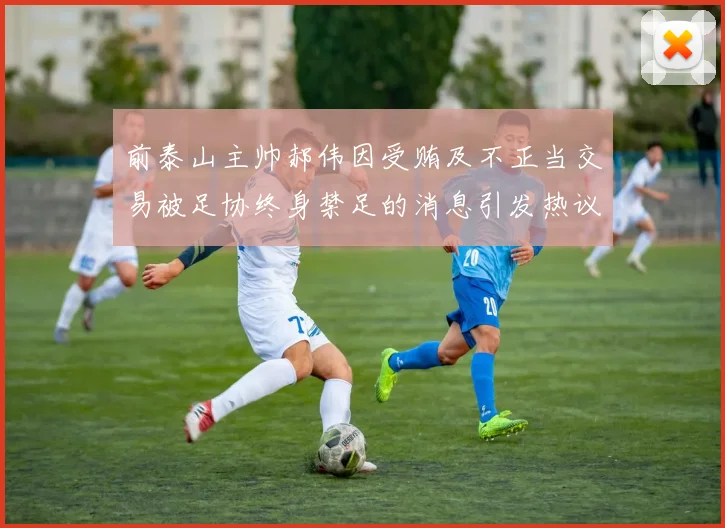 前泰山主帅郝伟因受贿及不正当交易被足协终身禁足的消息引发热议