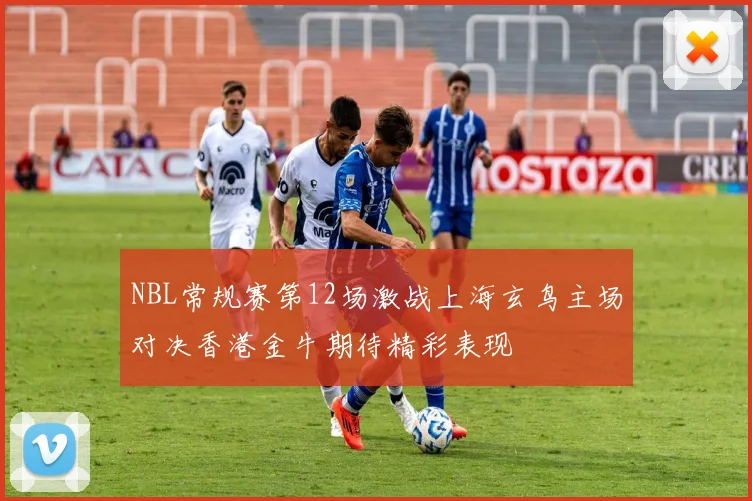 NBL常规赛第12场激战上海玄鸟主场对决香港金牛期待精彩表现