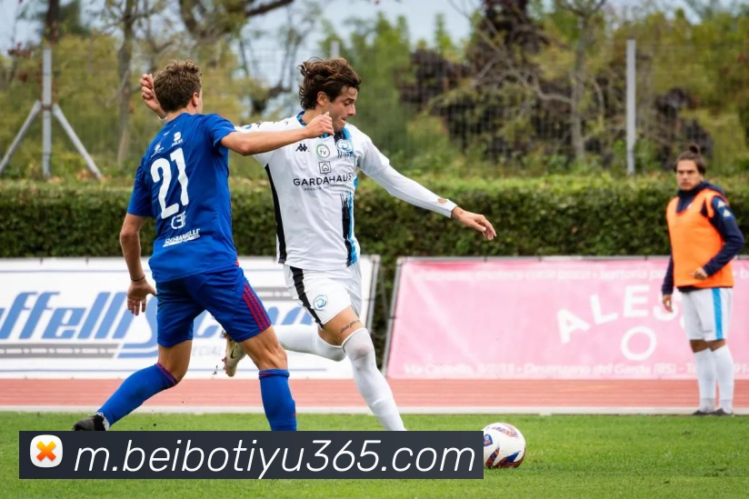 贝博体育平台生态图