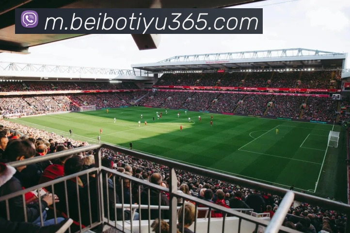 贝博体育全站App